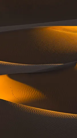 Vom Winde verweht...