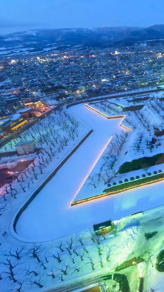 今日は大雪