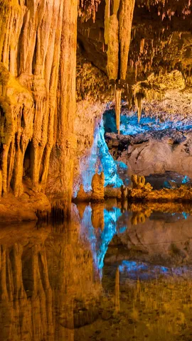 鍾乳石と石筍の世界