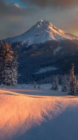 Un g&eacute;ant endormi