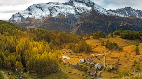 Un dernier &eacute;lan de couleur avant l'hiver