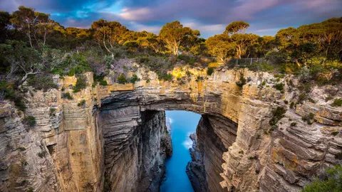 Un arco petrificante