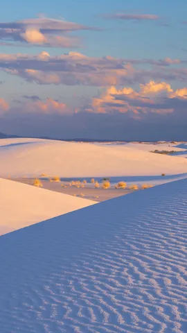 雪原のような石膏砂漠