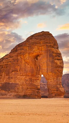 Gentle giant of the dunes