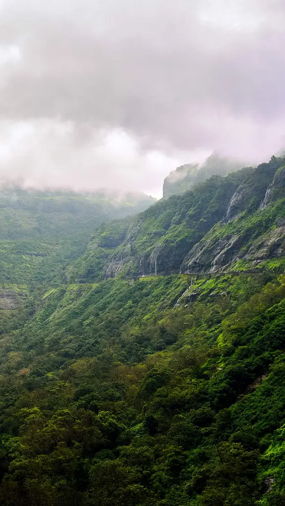 Misty roads and mountain moods