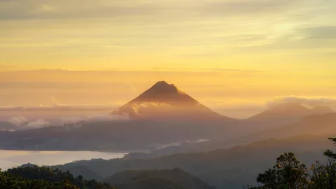 Uma beleza adormecida