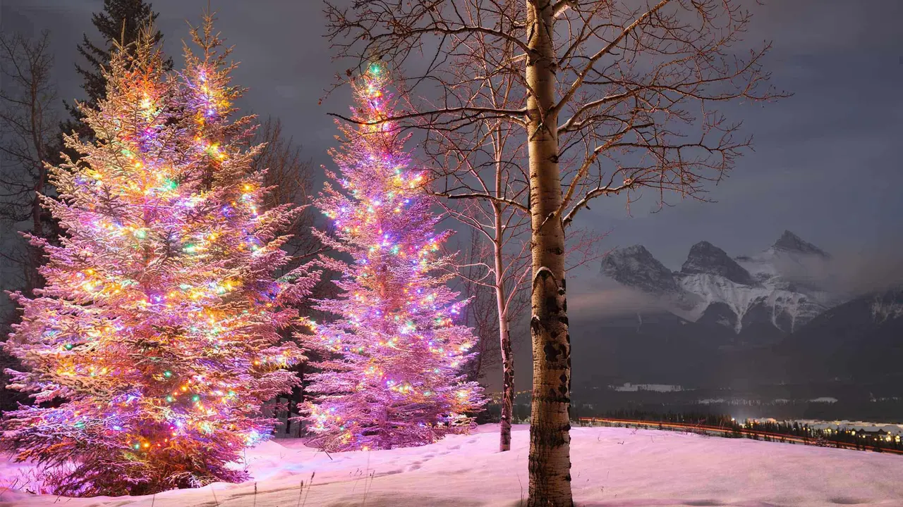 Merry Christmas!