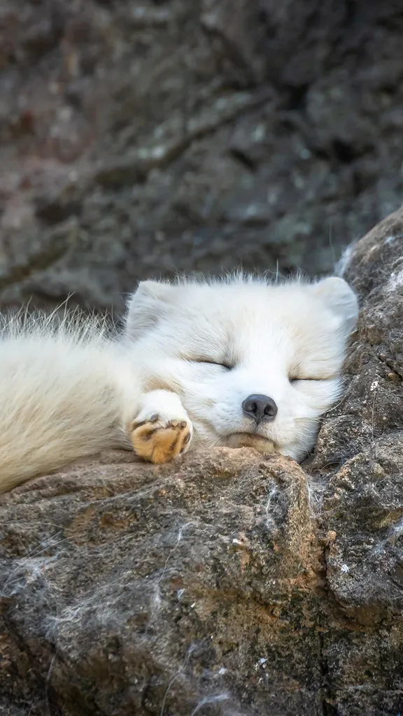 Stretch into the New Year