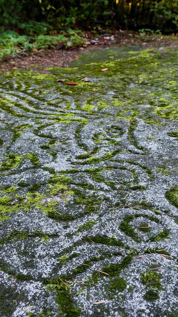 Past below, future ahead