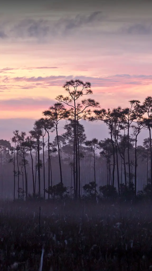 El poder de la naturaleza