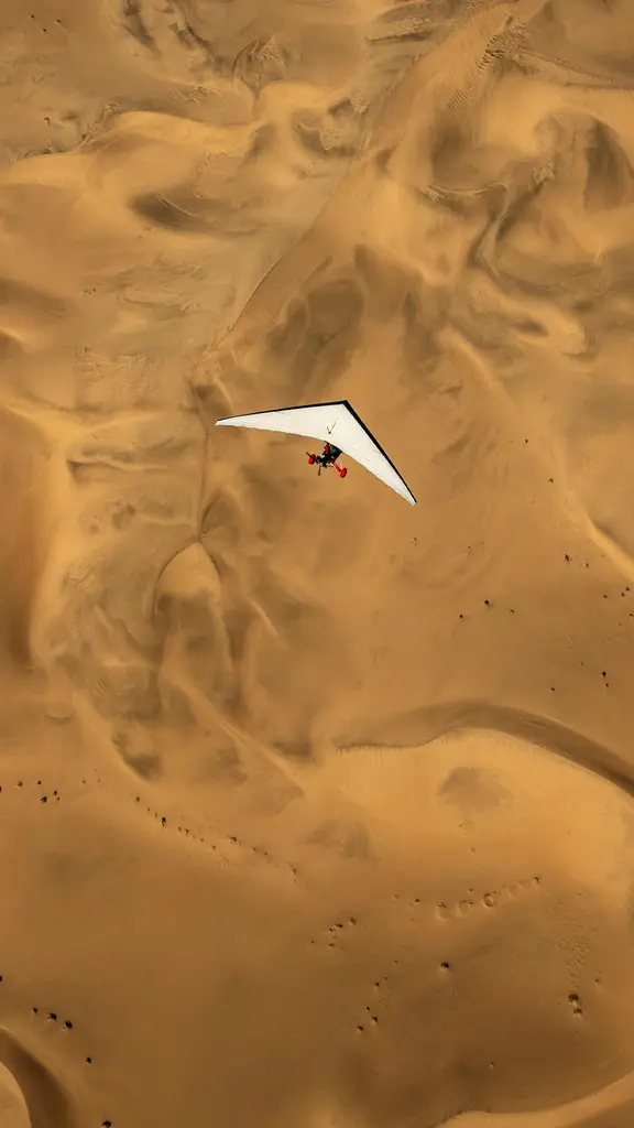 Not your average desert trip