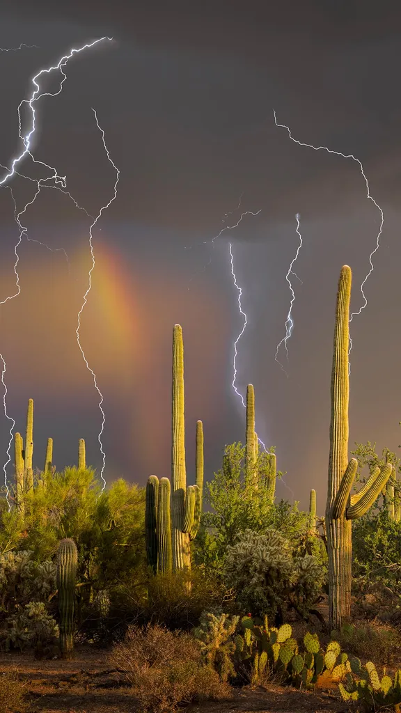 Disco-Deserto