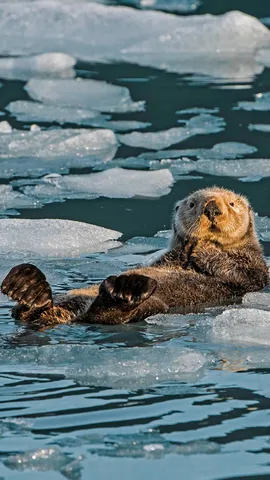 La gardienne des oc&eacute;ans