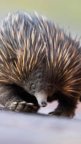 Wo Gegens&auml;tze zusammenfinden