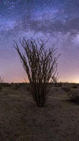 Milky Way over Anza-Borrego Desert State Park, California, United States