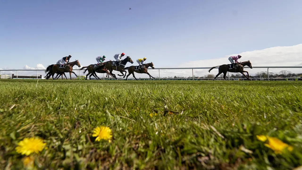 Hold your horses&mdash;it's race time!