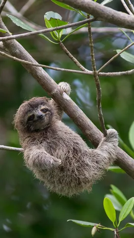 Wollen Sie nicht auch mal abh&auml;ngen?