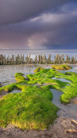 Eco di mare e cielo