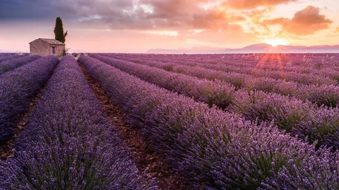 Un petit coin de paradis proven&ccedil;al
