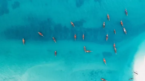 Finch&eacute; la barca va...
