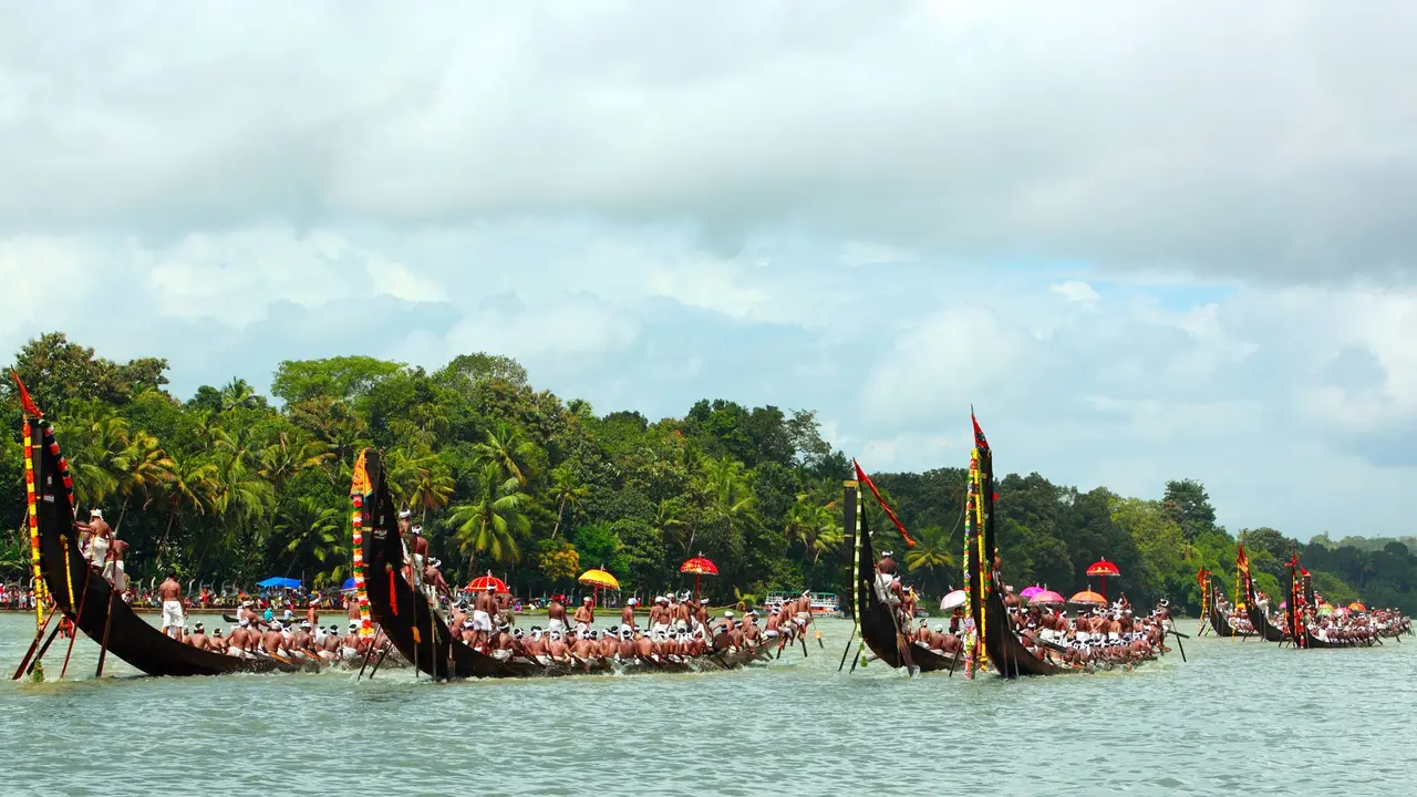 Racing the harvest tides