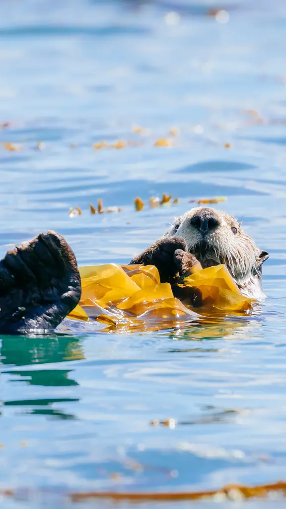 Kick back, snack, and relax