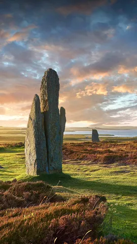 History has come full circle