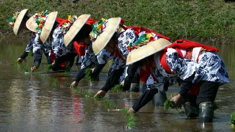 苗を植える早乙女手代