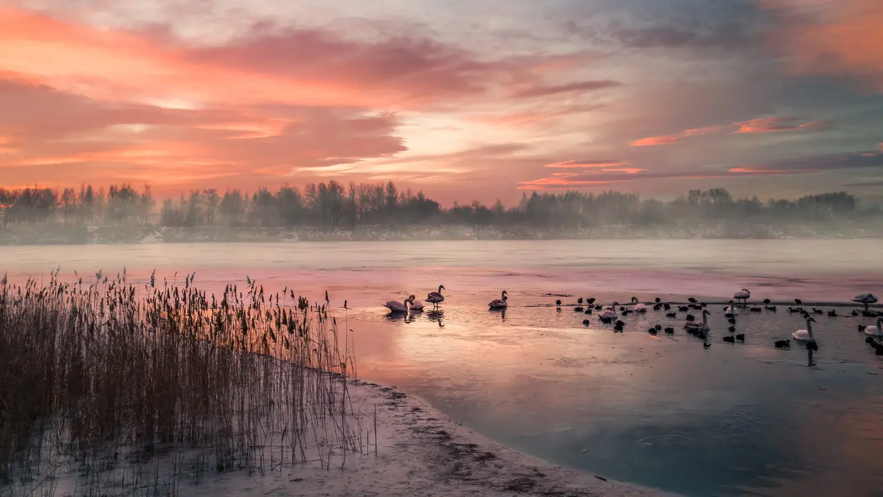 Gefrorenes Blau im Morgenrot