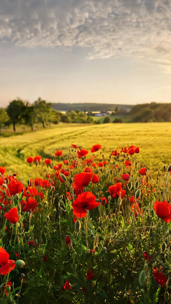 Bayerische Idylle