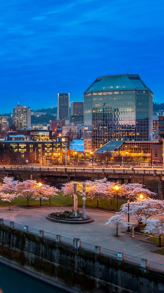 城市花开