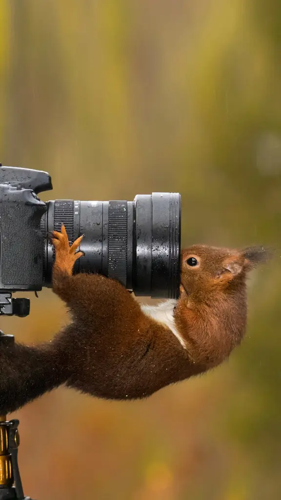 Ready for my close-up