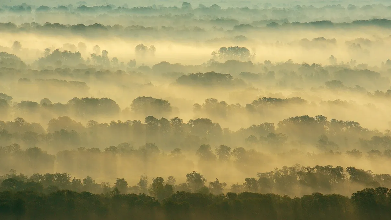 Wo Natur tief verwurzelt ist