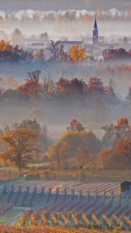 世界著名气泡酒产地普罗塞克山丘,意大利威尼托