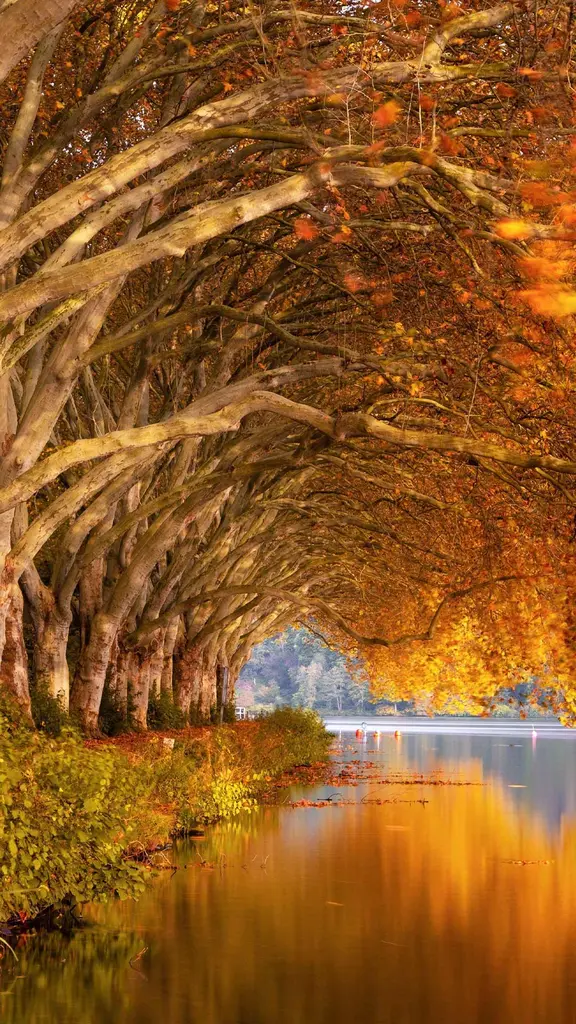 Goldene Momente