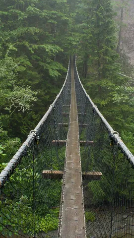 A step above the wild