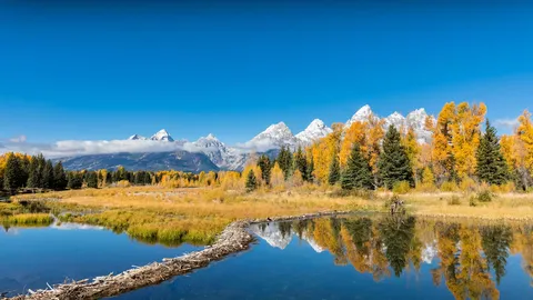 The quiet beauty of Grand Teton