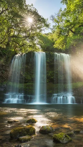 Veil of light