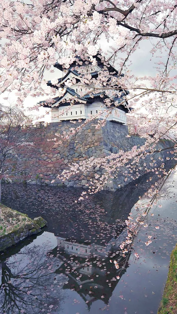 Best&auml;ndig durch die Zeit