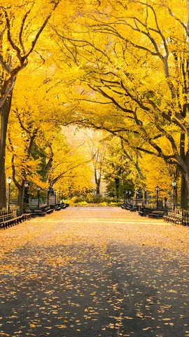 Rastro del oto&ntilde;o