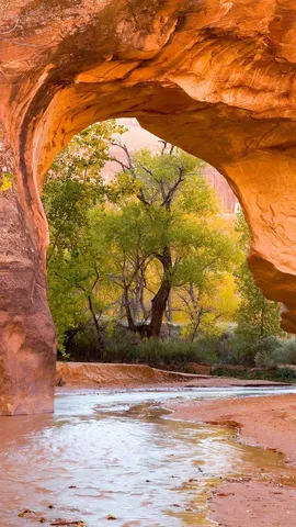 色鮮やかな砂岩のアーチ