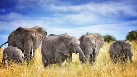 今日は米国の「絶滅危惧種の日」