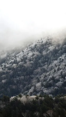 今日は小雪