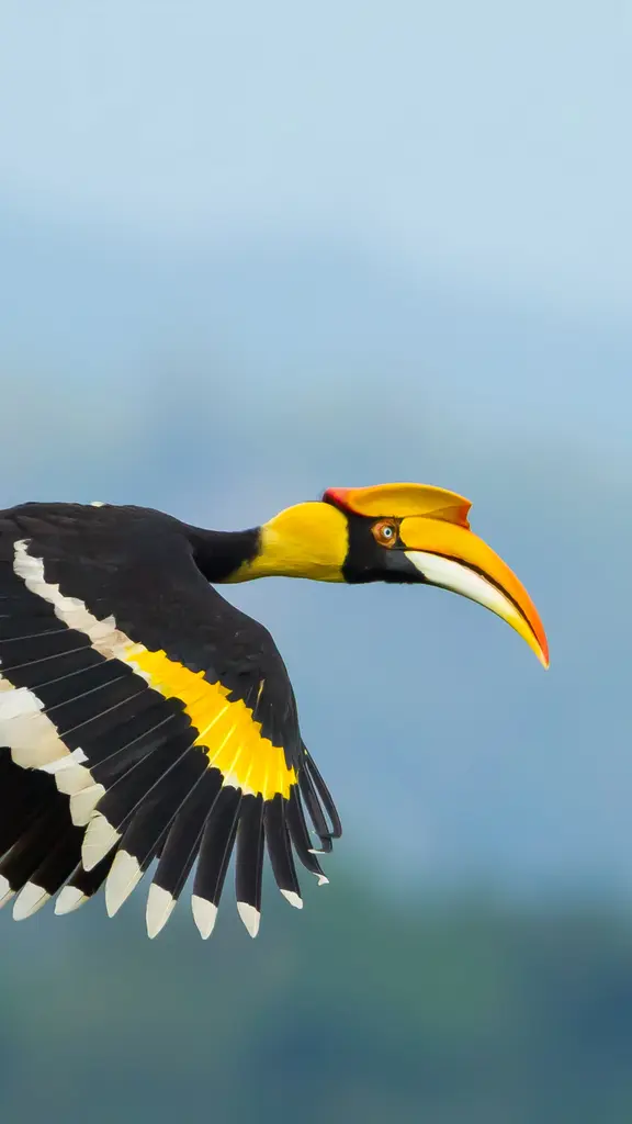 Majest&auml;tischer Vogel