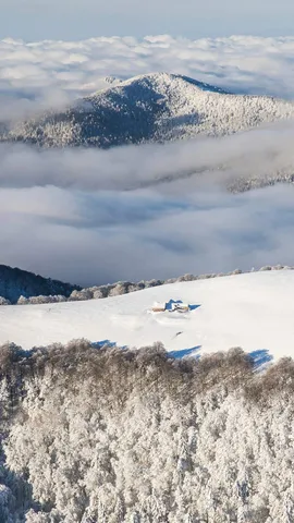 La plus grande ferme de France ouvre ses portes !