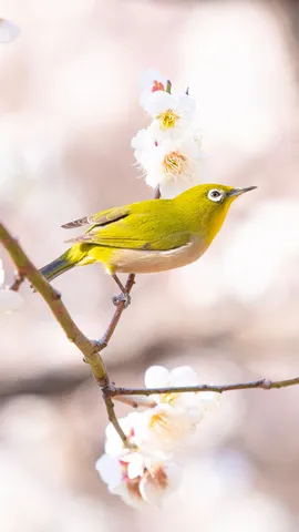 今日は立春