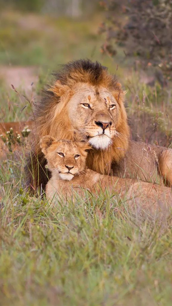 Ruggito di Pap&agrave;