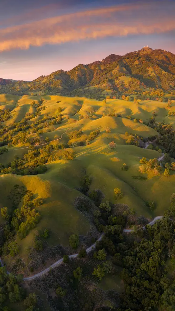 Giros y vueltas del Monte Hamilton