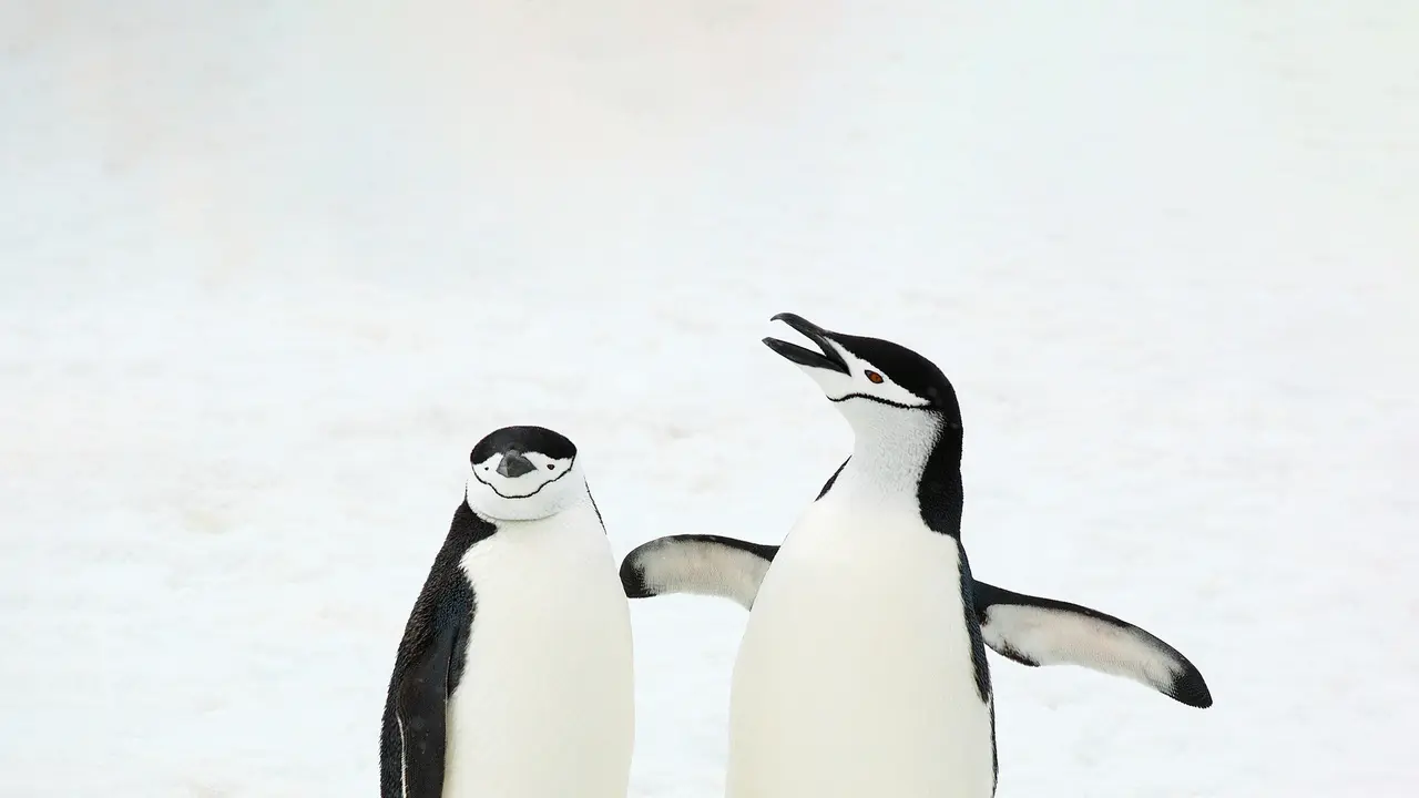 They've got some things to say