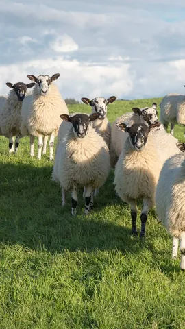 Che b&egrave;-lla foto